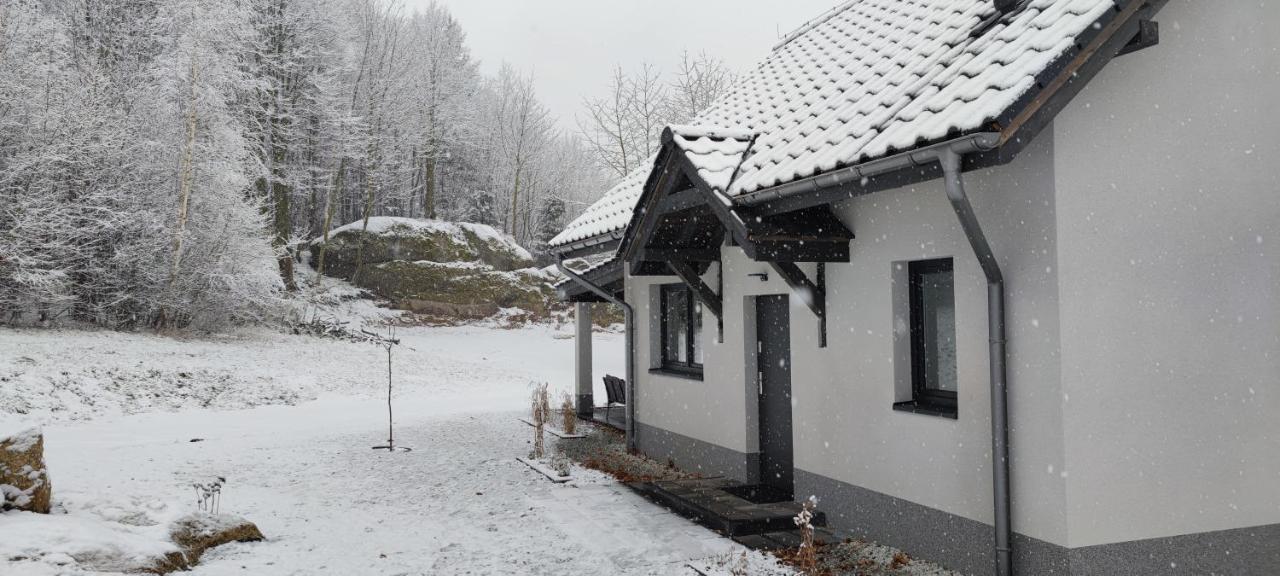 Holiday home Przystan Pod Witosza